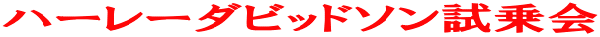 �n�[���[�_�r�b�h�\�������
